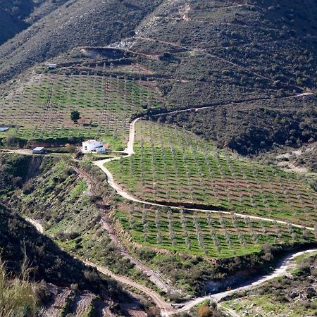 Willa Cortijo El Rancho Albanchez Zewnętrze zdjęcie
